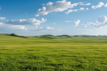 一望无际的大草原