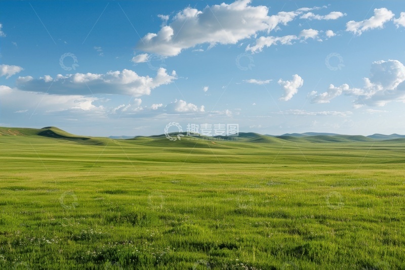 高清大图下载【趣麦麦图】一望无际的大草原