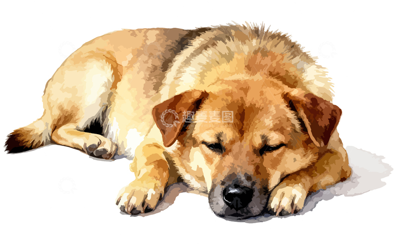 源文件下载【趣麦麦图】水彩风格小狗睡觉插画