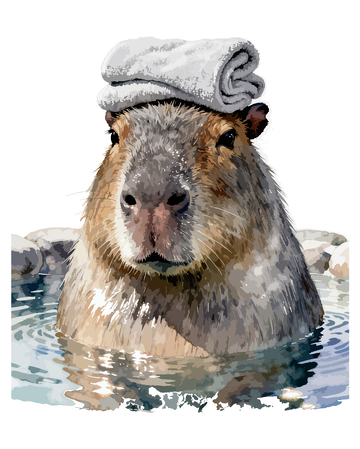 水豚戴帽戏水插画