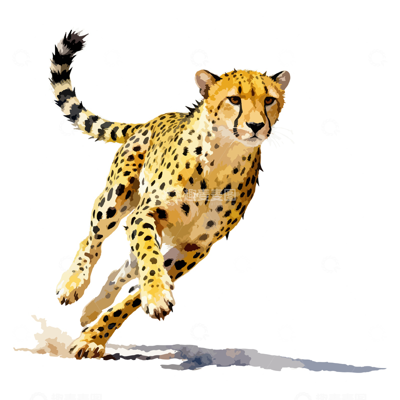 源文件下载【趣麦麦图】-水彩猎豹奔跑图案设计元素