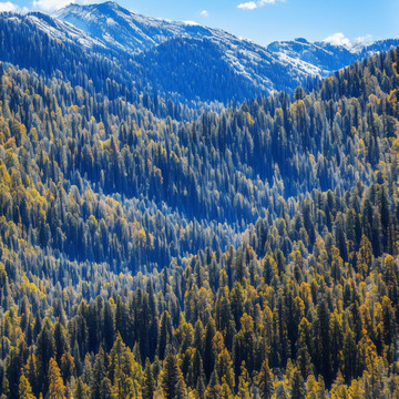 山林秋色壮丽风光摄影图片