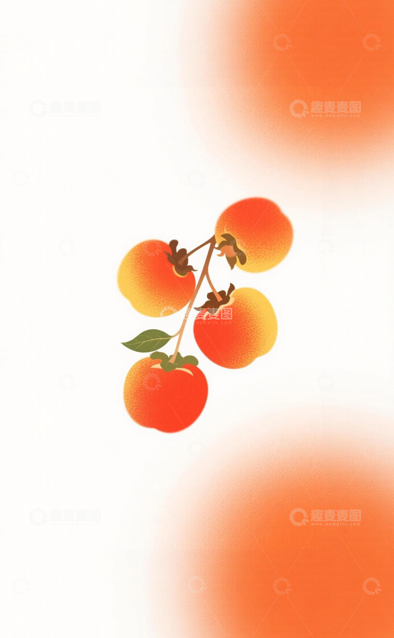高清大图下载【趣麦麦图】成熟的柿子插画1