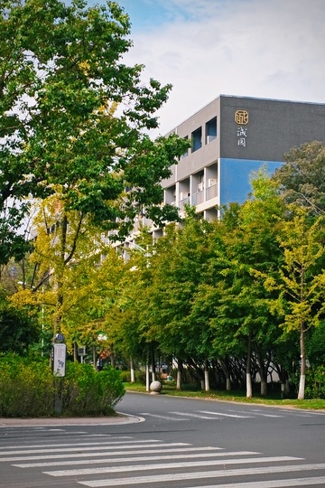 复古视角下的初秋