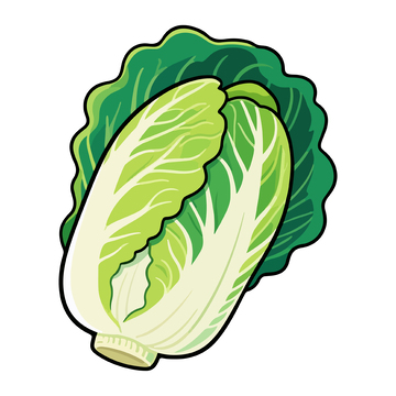 卡通风格大白菜插画