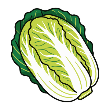 卡通风格蔬菜插图白菜矢量图
