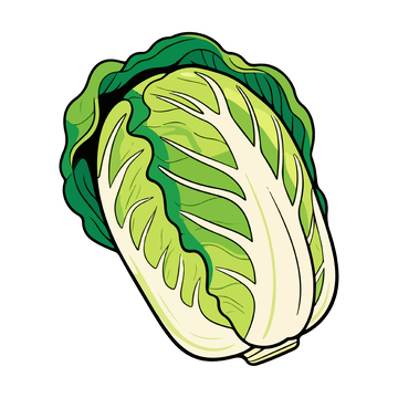 手绘风格新鲜蔬菜插画素材