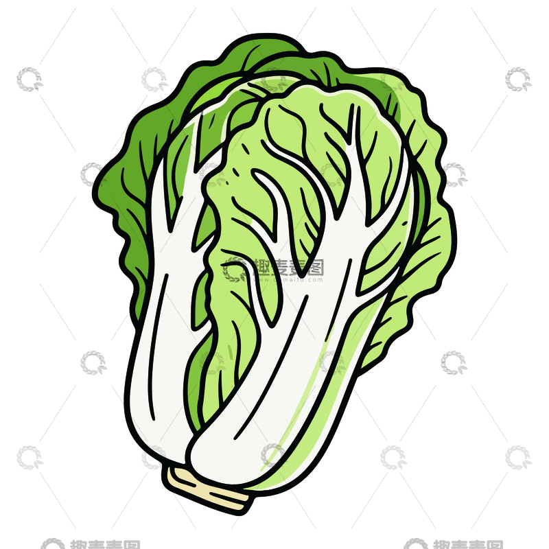 源文件下载【趣麦麦图】-手绘风新鲜白菜插画设计素材