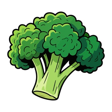 卡通风格西兰花手绘插画