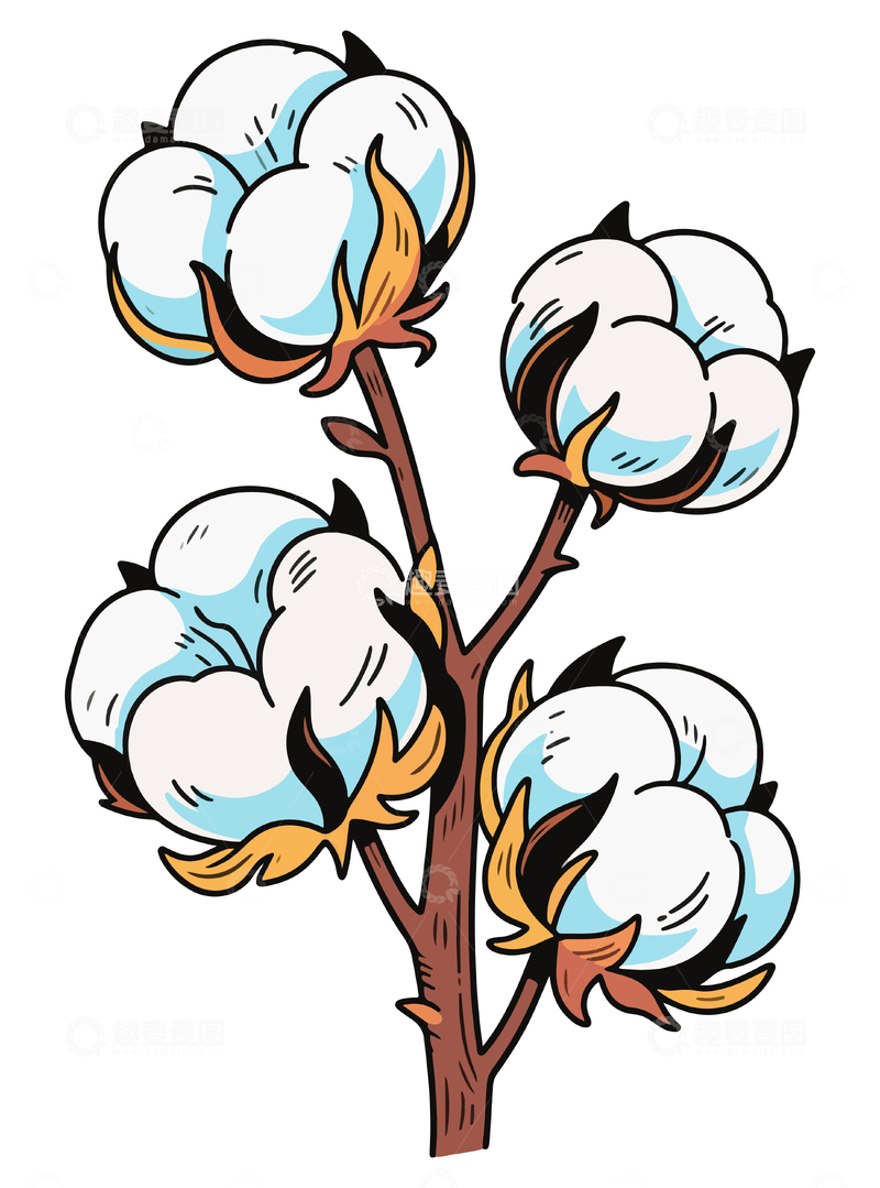 源文件下载【趣麦麦图】-成熟的棉花插画