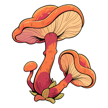 手绘蘑菇插画设计元素