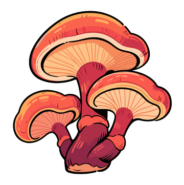 手绘风格蘑菇插画素材