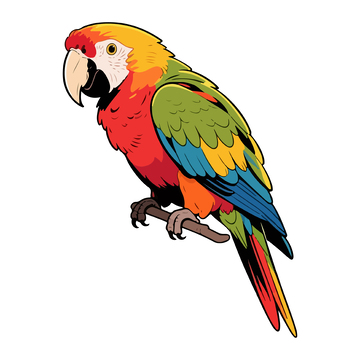 彩色鹦鹉卡通插画设计素材