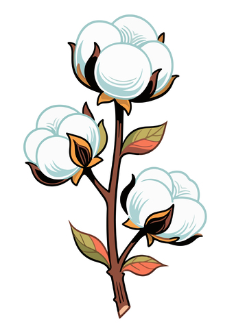 卡通棉花枝插画设计元素