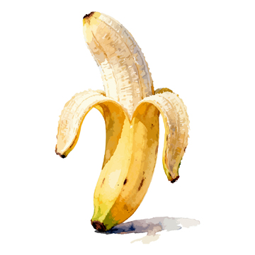 水彩香蕉水果插画设计素材