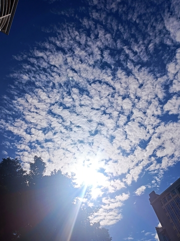 蓝天白云城市风光摄影