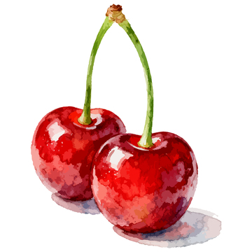 水彩樱桃水果手绘插画