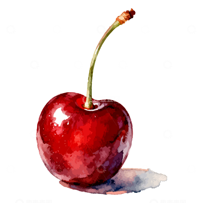 源文件下载【趣麦麦图】水彩画樱桃水果插画素材