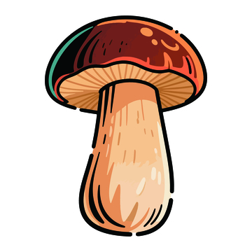 彩色插画风格蘑菇矢量素材