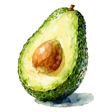 水彩牛油果果实插画素材