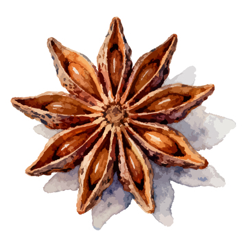 水彩星形香料绘画