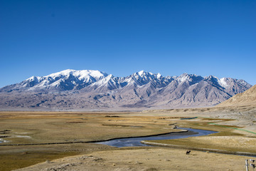 南疆的雪山青草