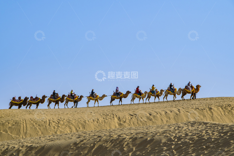 高清大图下载【趣麦麦图】沙漠驼铃声声