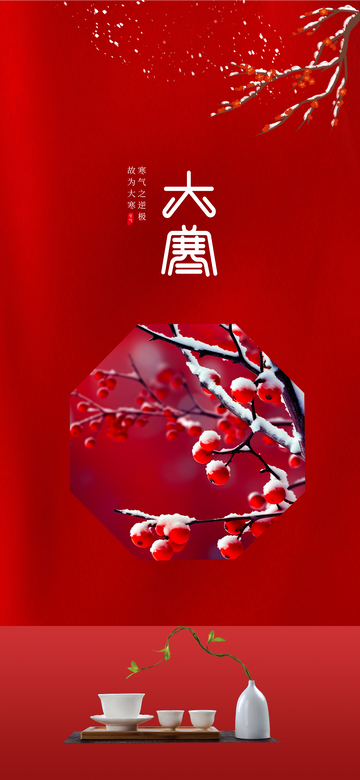 红色大寒海报