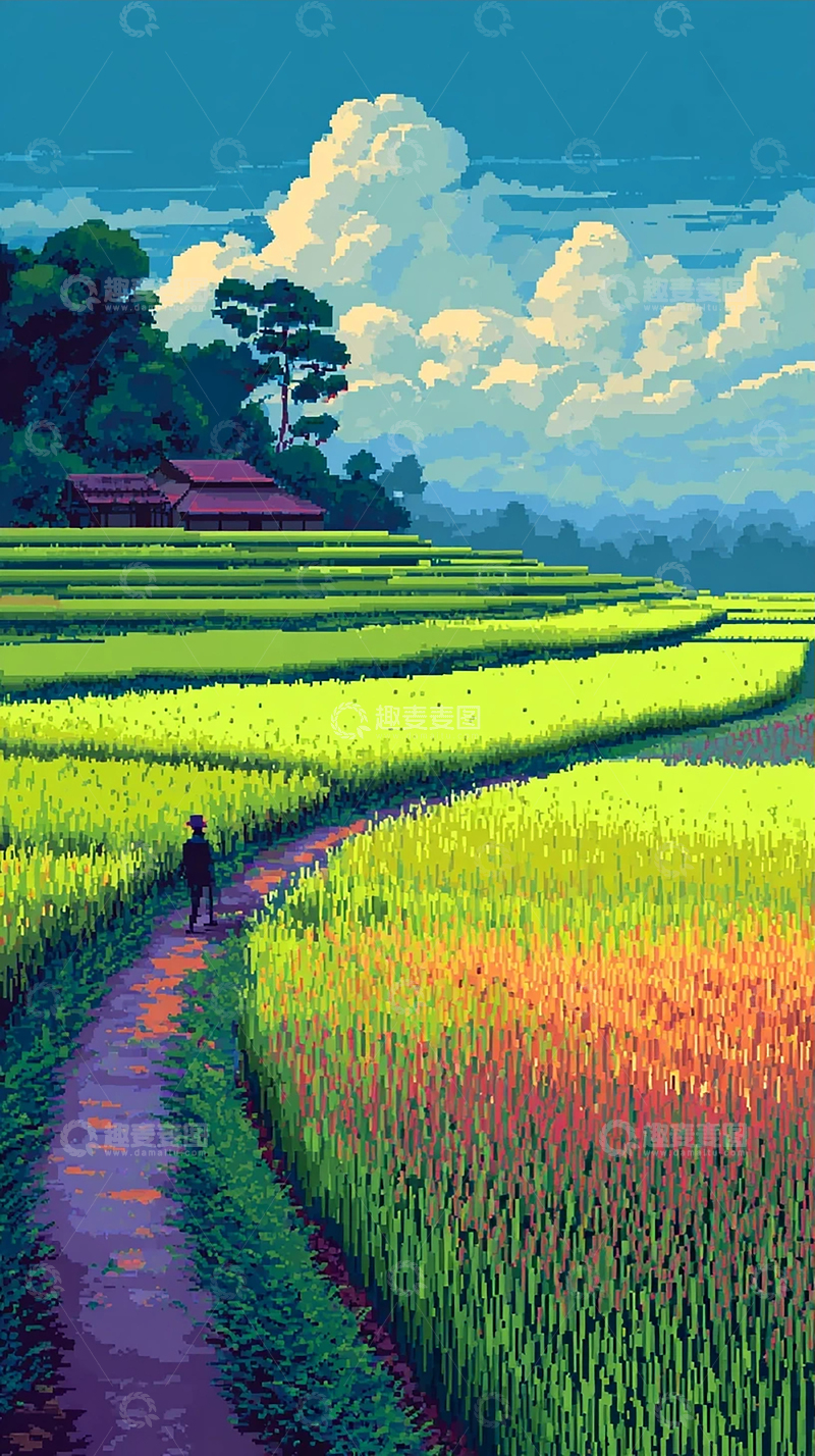 高清大图下载【趣麦麦图】晴朗天空下的稻田