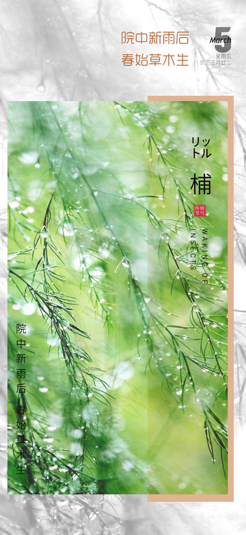 春雨新绿草木生