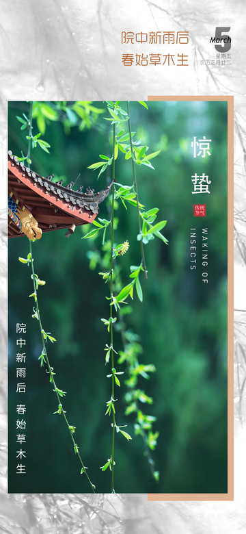 春日惊蛰新雨草木