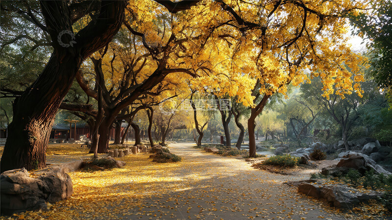 树林  鎏金  幽邃  