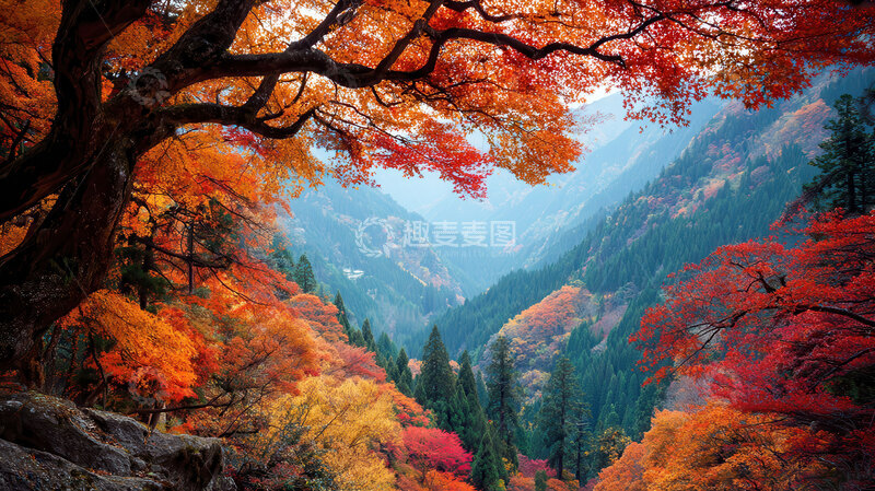 高清大图下载【趣麦麦图】山涧  嶙峋  红蓼   