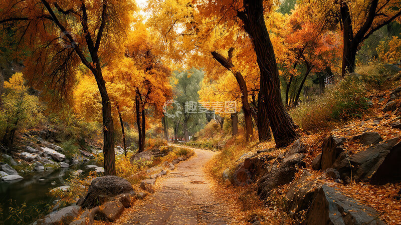 树林  鎏金  霜染 