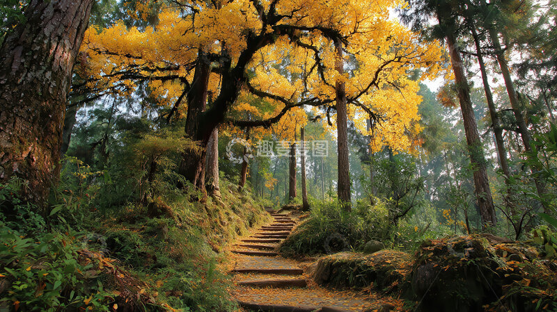 树林  鎏金  萧疏  