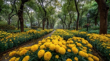 菊花  傲霜  粲然 