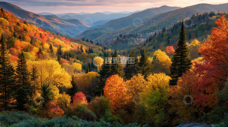 高清大图下载【趣麦麦图】山涧  嶙峋  藤老   