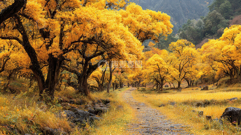 树林  鎏金  铺锦  