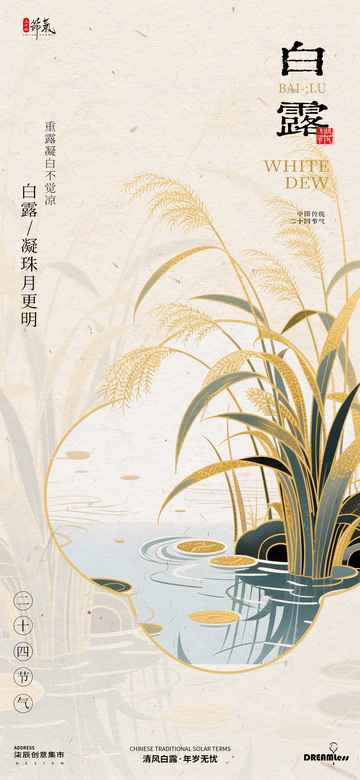 白露节气芦苇海报