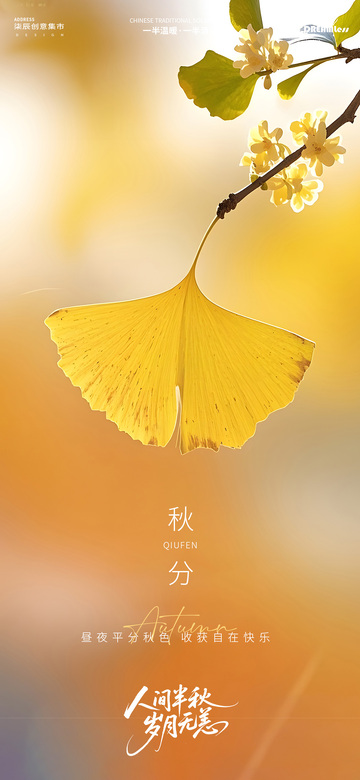 银杏叶立秋秋分美景摄影