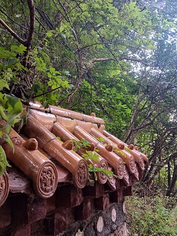 古韵瓦屋顶森林景观