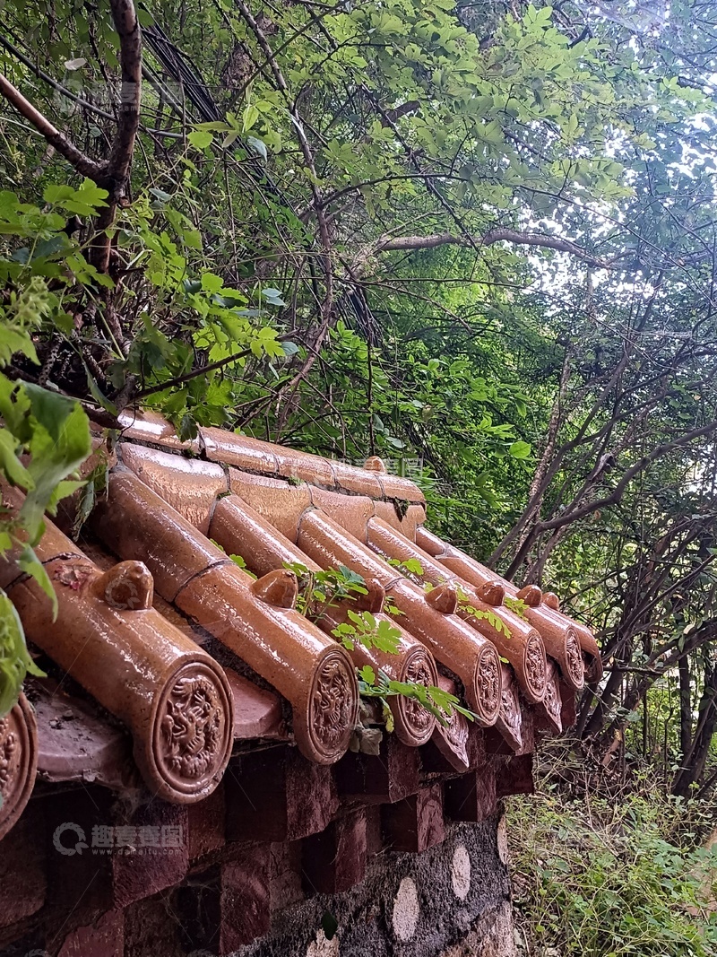 高清大图下载【趣麦麦图】古韵瓦屋顶森林景观