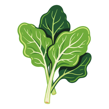 卡通风格蔬菜插画素材