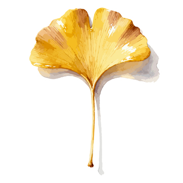水彩银杏叶艺术绘画