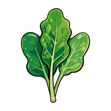 卡通蔬菜绿色叶子插画