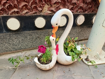 天鹅花盆园艺装饰