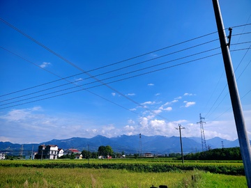 田野的晴天风光
