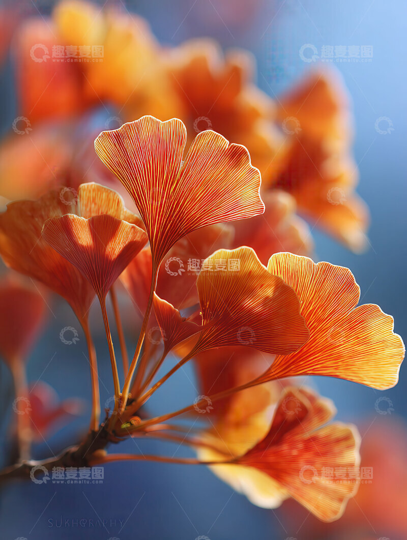 银杏叶  鎏金  脉络