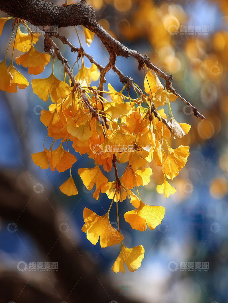 银杏叶  鎏金  翩跹