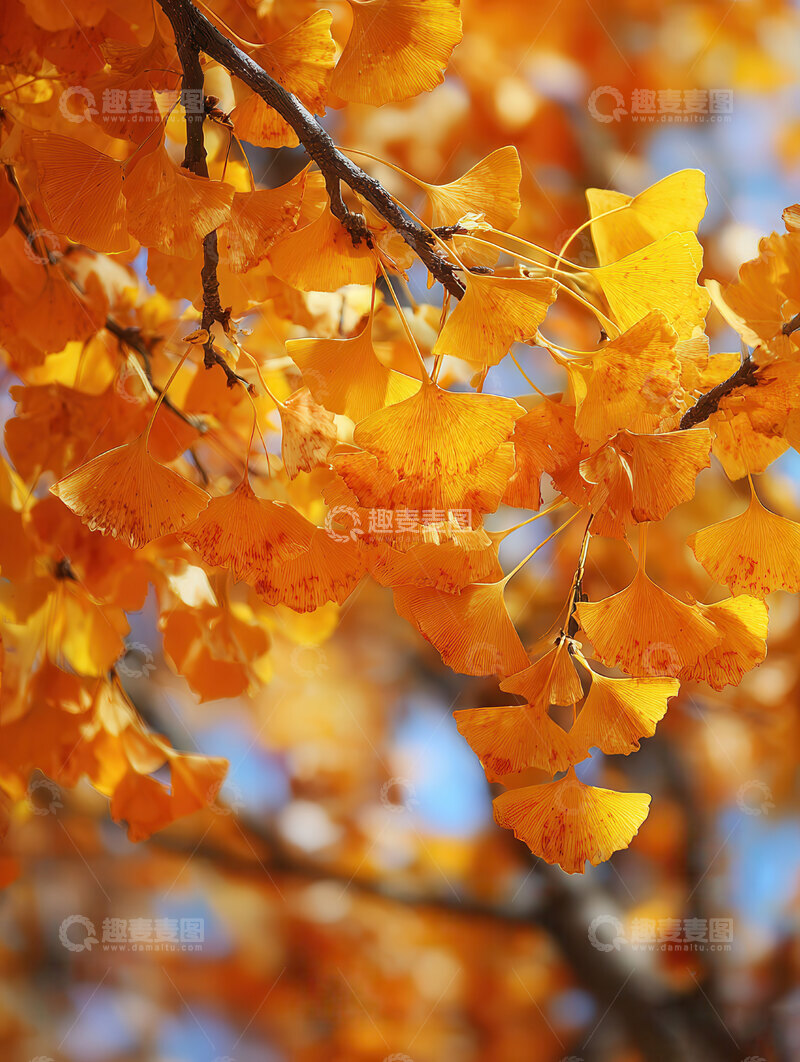 银杏叶  鎏金  脆硬